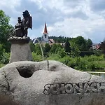 Black Forest Schwarzwaldliebe Schonach Kostenlos Parken Pool Sauna Tennis Wifi Prime Tv Natur * Schonach im Schwarzwald
