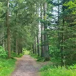 Black Forest Schwarzwaldliebe Schonach Kostenlos Parken Pool Sauna Tennis Wifi Prime Tv Natur شقة *