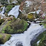 Apartmán Black Forest Schwarzwaldliebe Schonach Kostenlos Parken Pool Sauna Tennis Wifi Prime Tv Natur Schonach im Schwarzwald