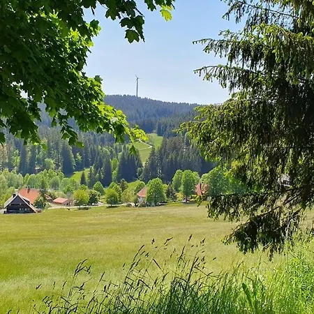 Black Forest Schwarzwaldliebe Pool Sauna Tennis Tischtennis Wifi Netflix Schonach im Schwarzwald