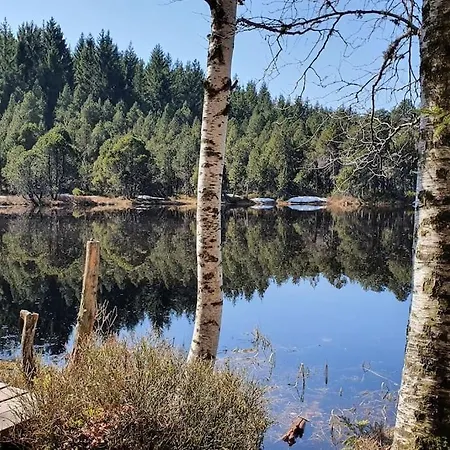 Apartmán Black Forest Schwarzwaldliebe Pool Sauna Tennis Tischtennis Wifi Netflix *