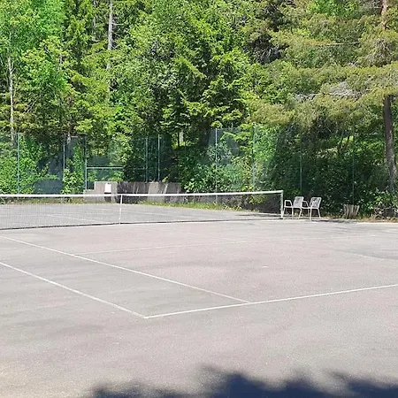 Black Forest Schwarzwaldliebe Pool Sauna Tennis Tischtennis Wifi Netflix Lejlighed