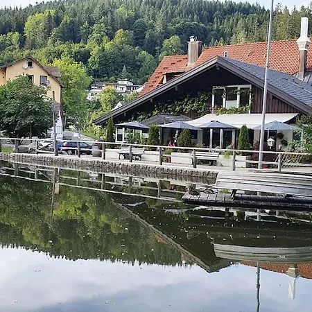 Lejlighed Black Forest Schwarzwaldliebe Pool Sauna Tennis Tischtennis Wifi Netflix