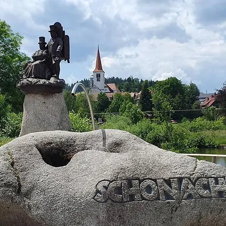 Black Forest Schwarzwaldliebe Pool Sauna Tennis Tischtennis Wifi Netflix * Schonach im Schwarzwald