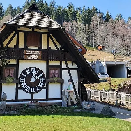 Black Forest Schwarzwaldliebe Schonach Kostenlos Parken Pool Sauna Tennis Wifi Prime Tv Natur شقة سخوناخ