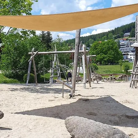 Black Forest Schwarzwaldliebe Pool Sauna Tennis Tischtennis Wifi Netflix