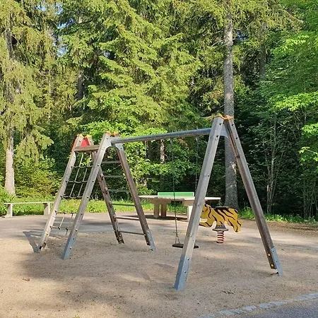 Black Forest Schwarzwaldliebe Pool Sauna Tennis Tischtennis Wifi Netflix Apartmán Schonach im Schwarzwald