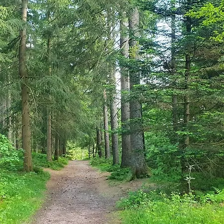 Black Forest Schwarzwaldliebe Pool Sauna Tennis Tischtennis Wifi Netflix Apartmán *