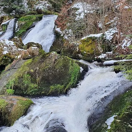 Lejlighed Black Forest Schwarzwaldliebe Pool Sauna Tennis Tischtennis Wifi Netflix Schonach im Schwarzwald
