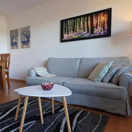 Black Forest Schwarzwaldliebe Schonach Kostenlos Parken Pool Sauna Tennis Wifi Prime Tv Appartement *