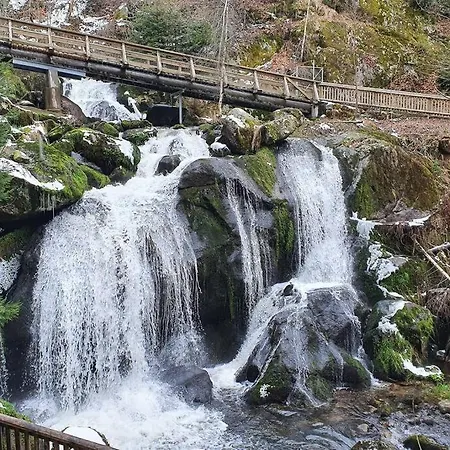 Black Forest Schwarzwaldliebe Pool Sauna Tennis Tischtennis Wifi Netflix Apartmán Schonach im Schwarzwald