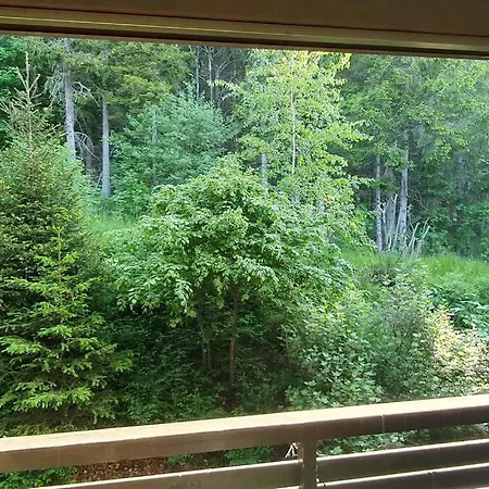 Apartmán Black Forest Schwarzwaldliebe Pool Sauna Tennis Tischtennis Wifi Netflix